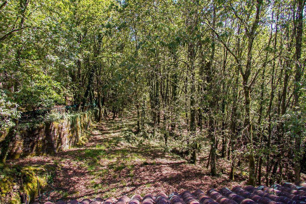 Villa Liiiving In Caminha | Oak Tree Chill House Extérieur photo
